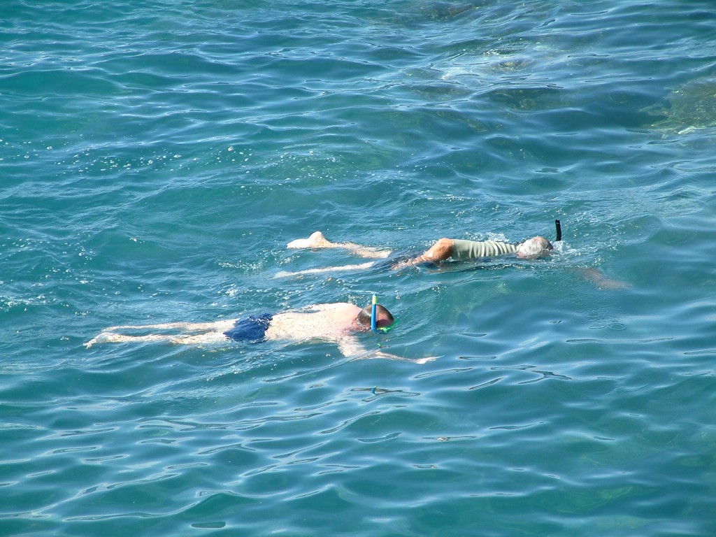 Snorkeling na Teneryfie